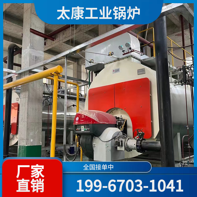 金昌燃煤导热油锅炉